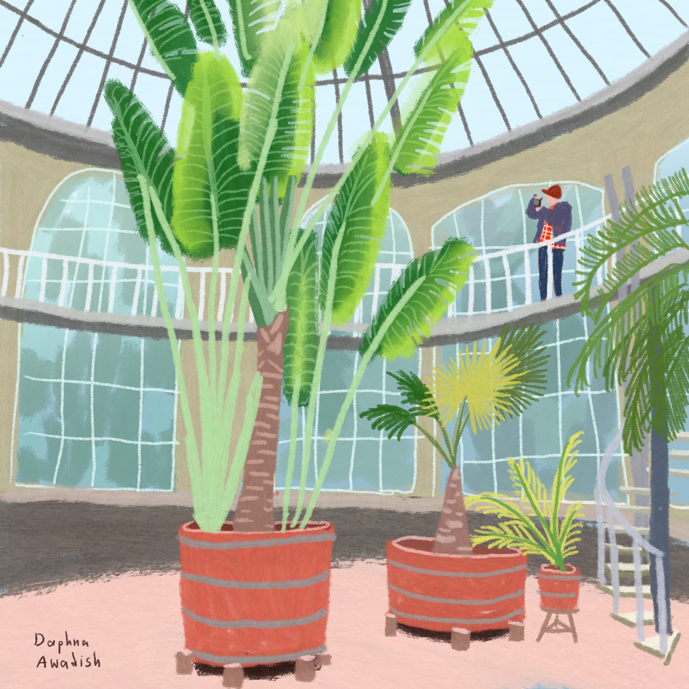 Amsterdam Botanical Garden